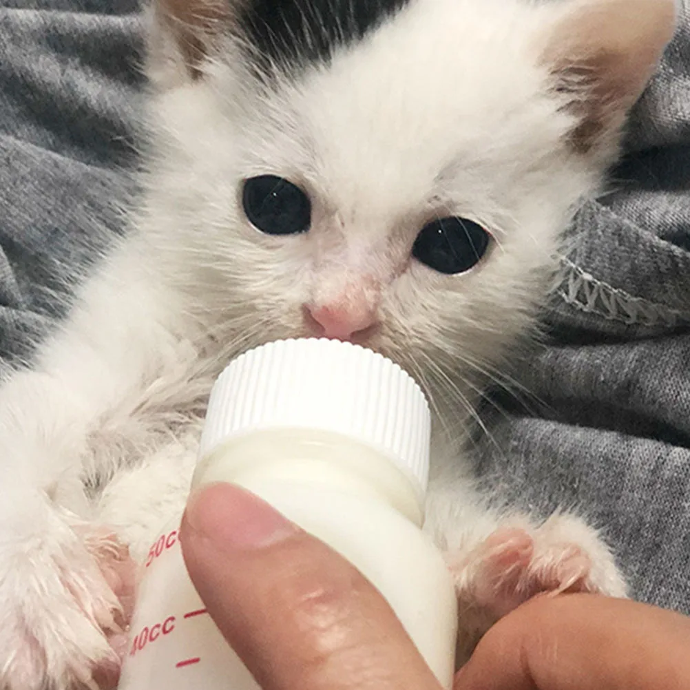 

8Pcs Pet Feeding Bottles for Small Cats Puppies Newborns Premium Silicone Material Durable Safe Easy to Clean Pet Supplies