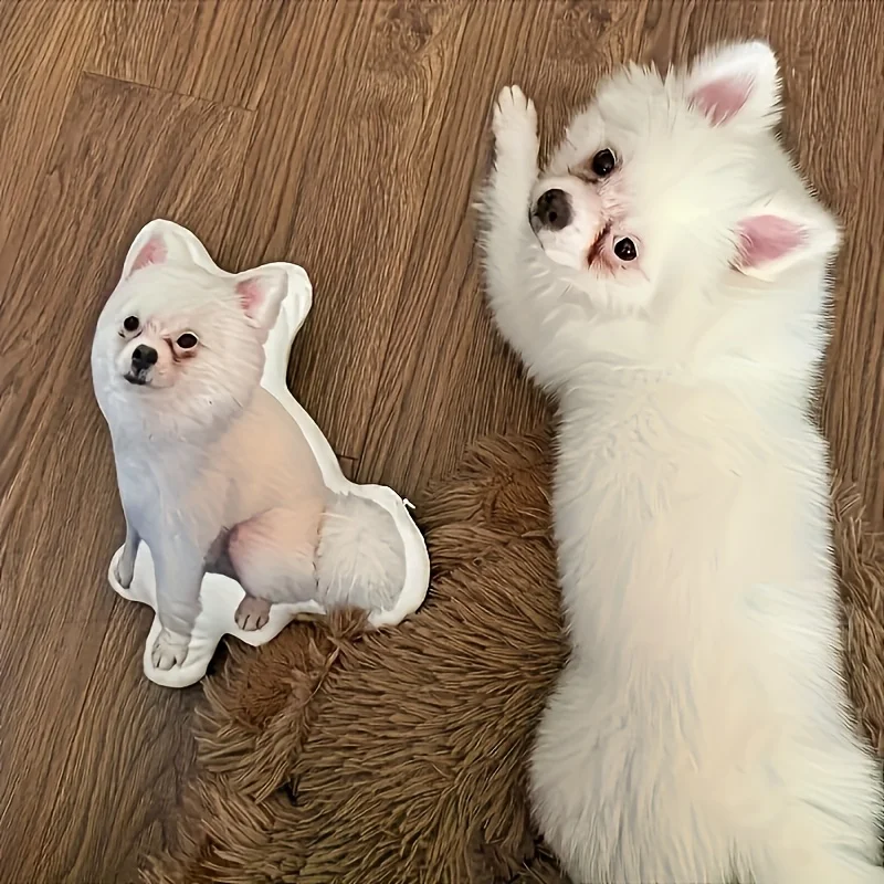 Ein maßgeschneidertes Katzen- und Hundekissen, das mit jedem Foto kann individuell angepasst werden kann