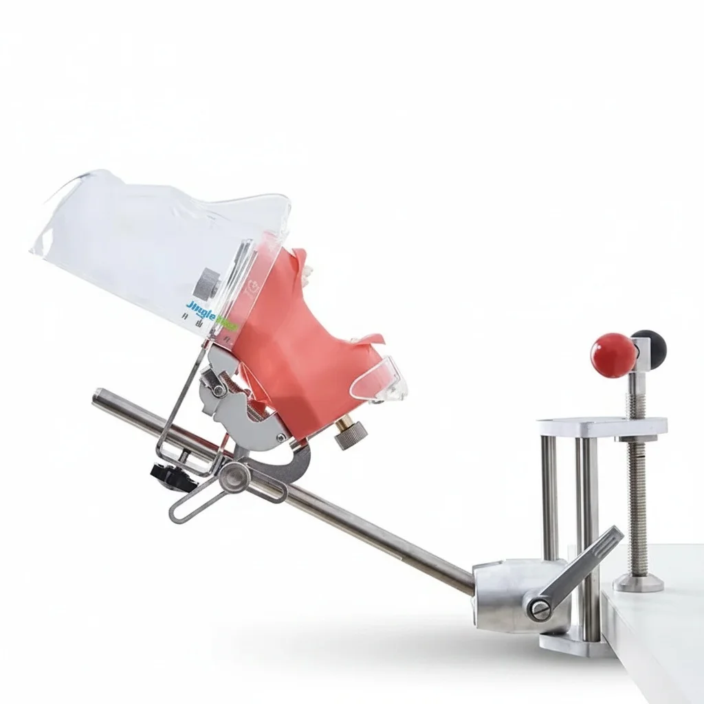 

Dental Phantom Head, Stainless Steel and Silicone Dummy Head Model, Training Manikin, Desk Mounted Simulation