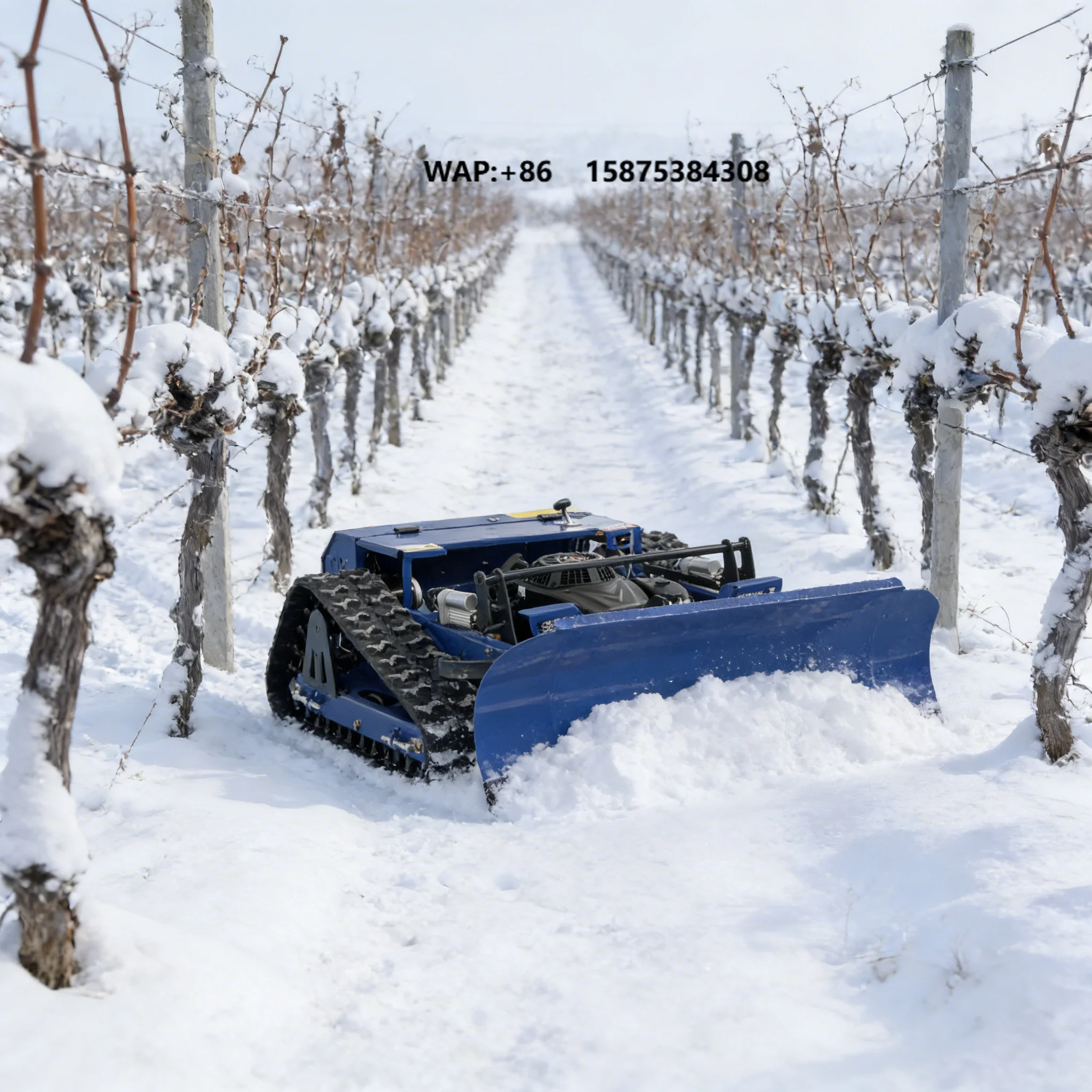 Vineyard Specialized Remote Lawn Mower with Snow Shovel Attachment for Grapevine Inter Row Grass Cutting and Winter Snow