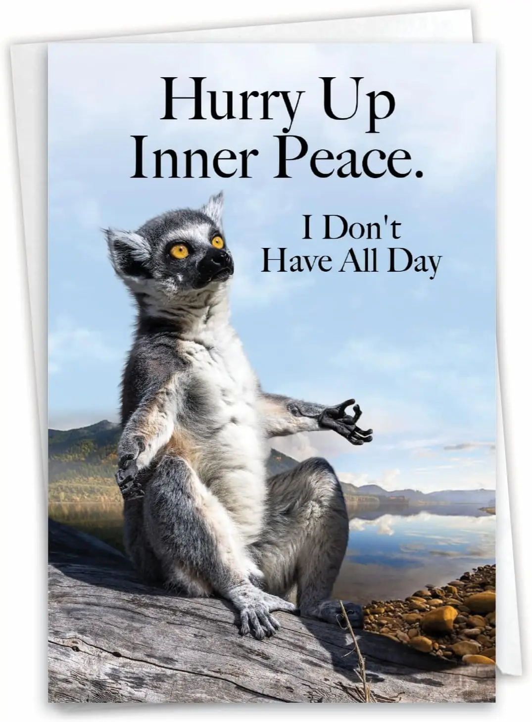 

Funny Birthday Greeting Card with 5 x 7 Inch Envelope for Men and Women (1 Card) Meditation Bday, Inner Peace Rush C10253BDG