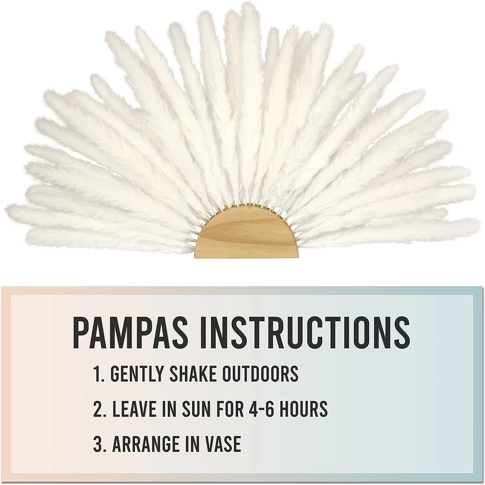 Pampas Grass Ornaments for Home Accessory Dry Natural Flowers Artificial Tv Table Decoration and Accessories Upholstery Party