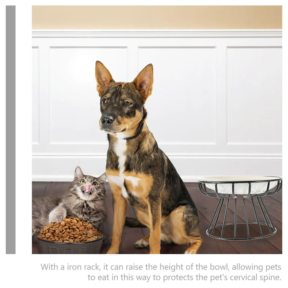 

Elevated Cat Bowl Pet Feeding Neck Guard Smooth Surface Reusable Longtime Use Pet Bowl Dog Food Container Dog Accessories