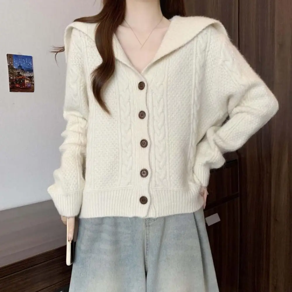 

Свитер с откидным воротником и сеткой, вязаный крючком, свободные кардиганы с длинными рукавами, женский кардиган Y2K, осень-весна, консервативный стиль, кардиган с жареным тестом