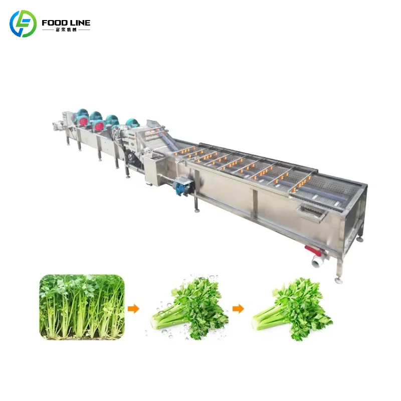 Customized Industrial Fruit and Vegetable Drying Conveyor Belt Mobile Wheels High-Efficiency Air Drying Equipment