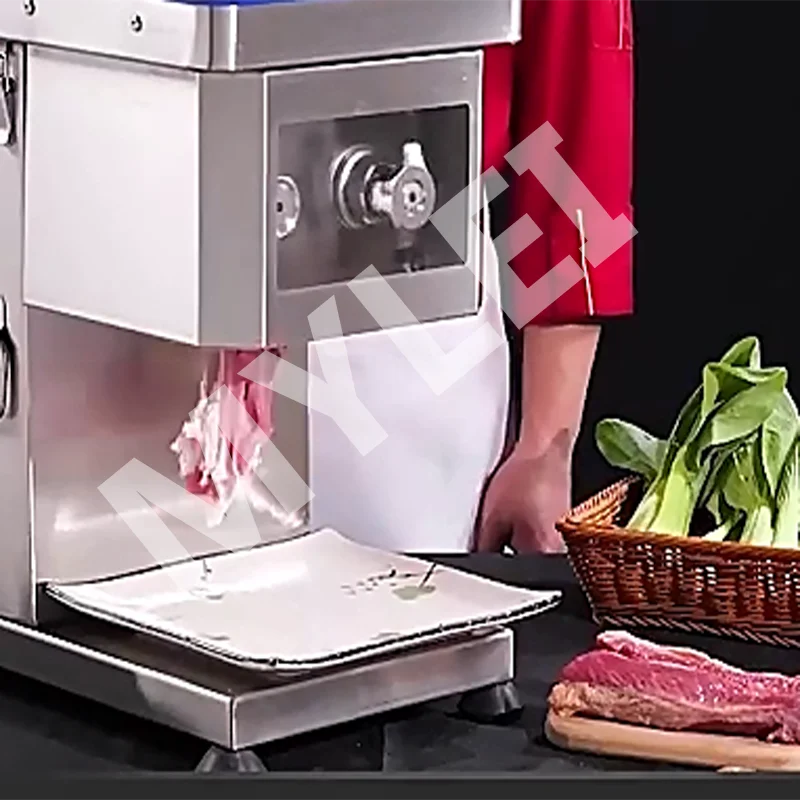 Export Standard TS-1 Meat Cutting Machine Dual Voltage Global Market Stainless Steel Food Slicer Equipment
