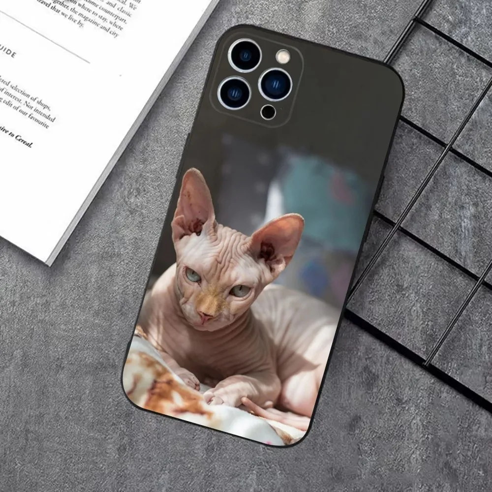 Pet Sphynx Sphinx Cat Phone Case For iPhone 16,15,14,13,12,11 Plus,Pro Max,XS,X,XR,SE,Mini,8,7，Soft Silicone Black Cover