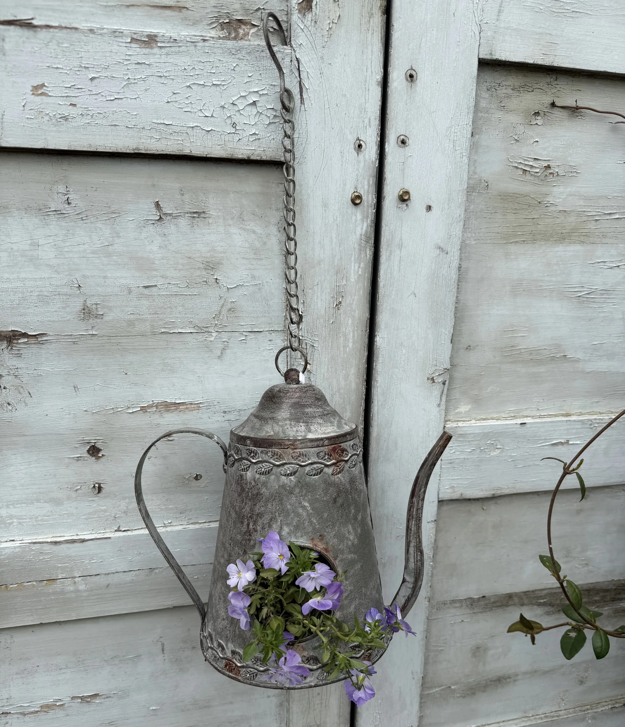 

Vintage Metal Watering Can Hanging Planter Rustic Iron Garden Bird Feeder Flower Pot Farmhouse Outdoor Decor