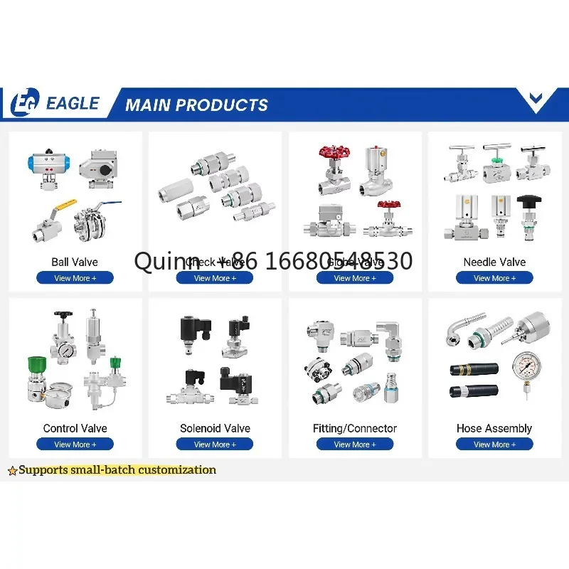 

FCEAGLE Reducing Valve Regulator Safety Relief Valve Stainless Steel 316L High Pressure for Water Equipment BSPT NPT BSPP Thread