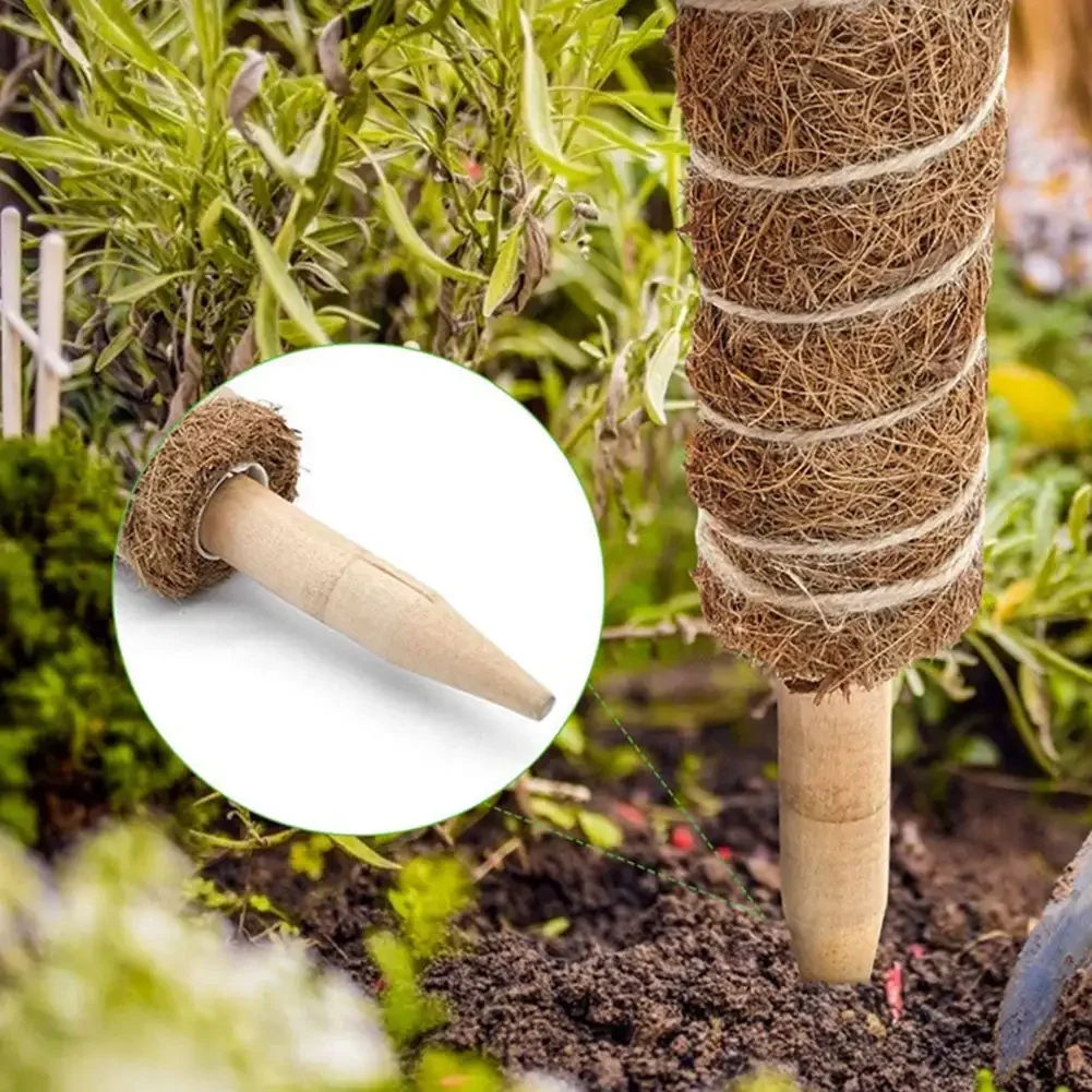 1PC 30/40/50cm Moss Pole for Indoor Climbing Plants Creepers To Grow Upwards Plant Support with Garden Ties Plant Accessories