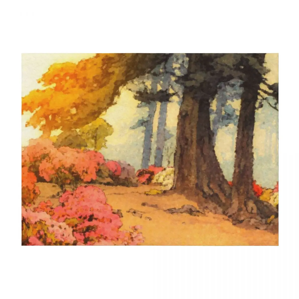 

Morning Walk towards Kamuta - Nature Landscape Throw Blanket Nap Blankets Sofas Of Decoration Sleeping Bag bed plaid Blankets