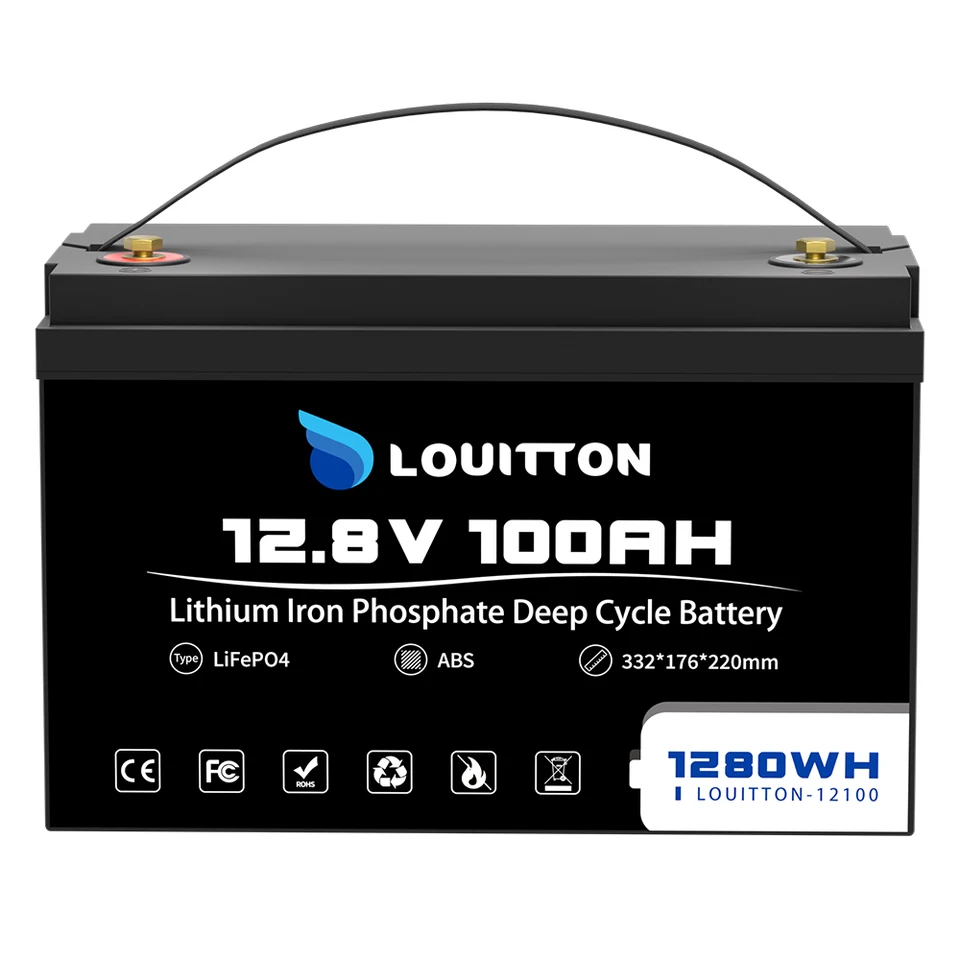 12V 100Ah Lifepo4 Battery with 100A BMS Low Temperature Charge
