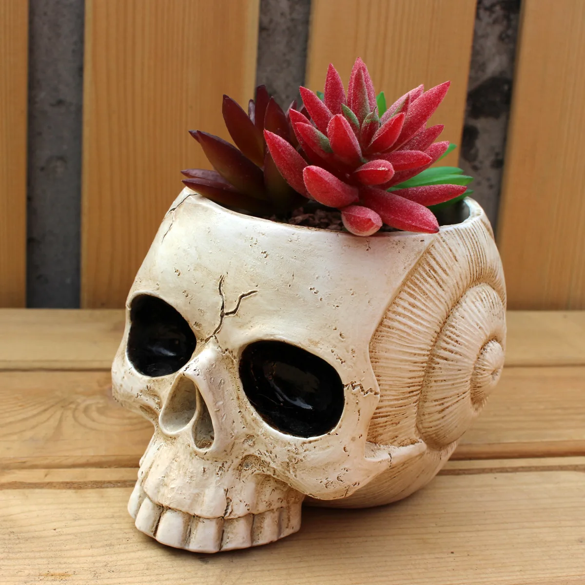 Skull Snail Candy Dish - Dual Use Planter & Snack Bowl for Office