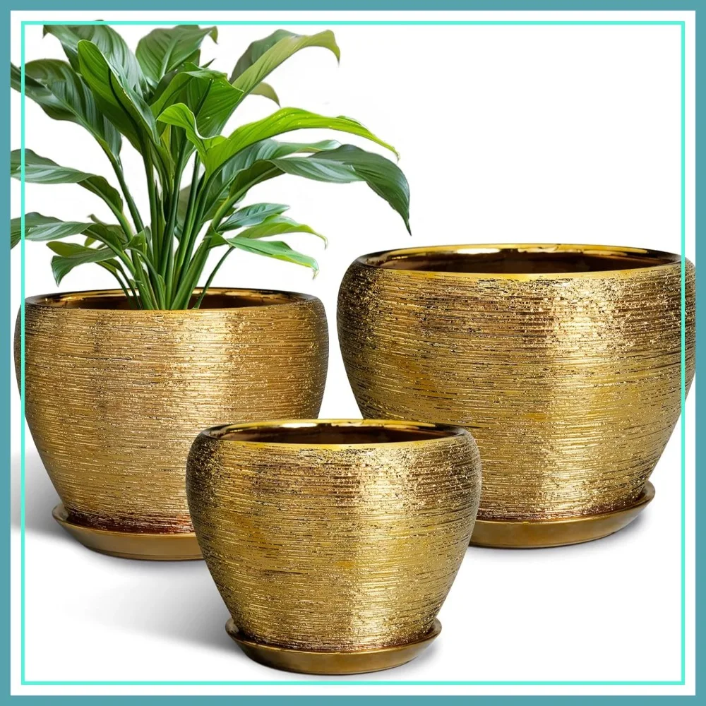 

Ceramic Plant Pots Set of 3: 6, 8, 10 Inch with Drainage & Saucers for Indoor/Outdoor Decor