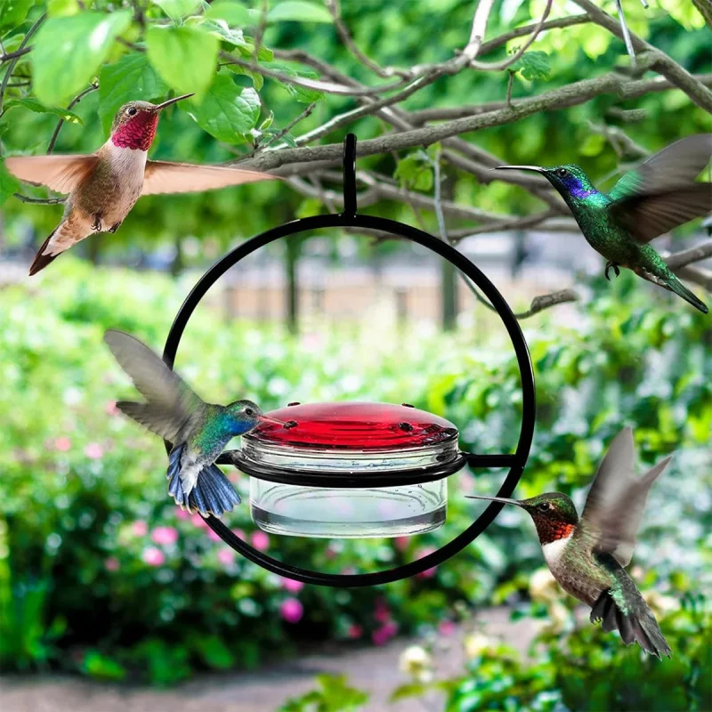 Comedero de agua para colibrí Simple de Metal, Mini comedero redondo colgante para pájaros con 4 agujeros de alimentación para beber, para colibríes