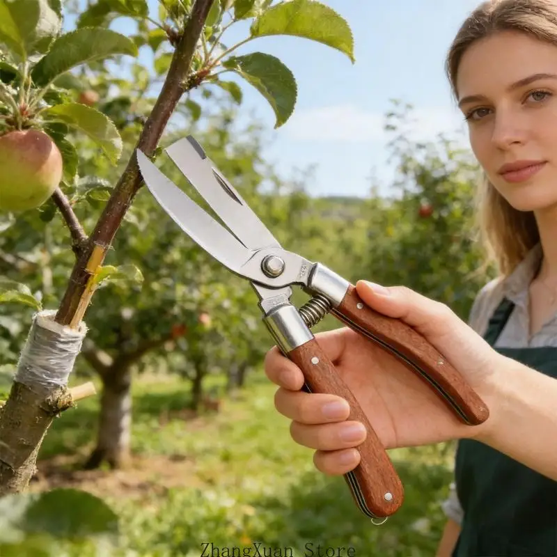 Fachmännisch gefertigte Pflanzenveredelungskollektion, geeignet für verschiedene Gartenarbeiten 3XUF – Detail 5