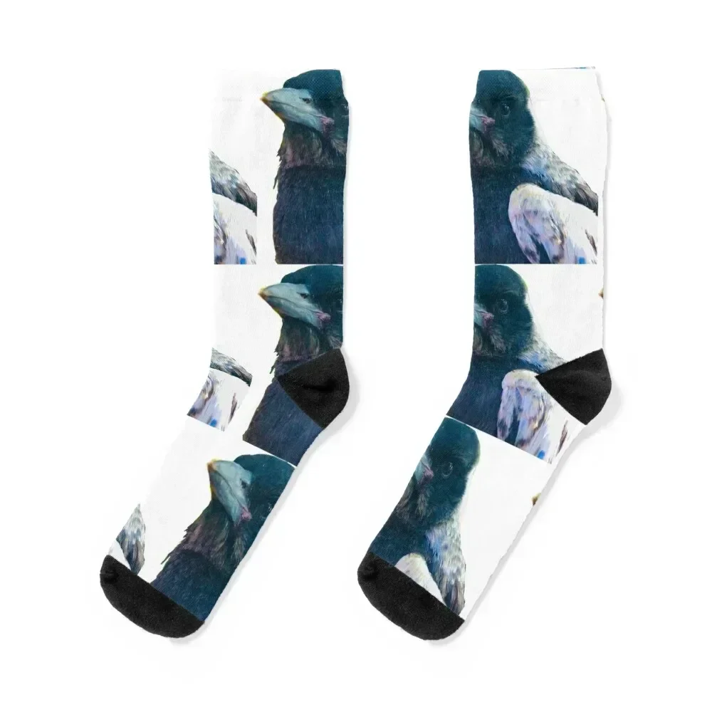 Bub! Rescued Australian Juvenile Magpie. Socks Sports man christmas gift Children's Socks Women Men's