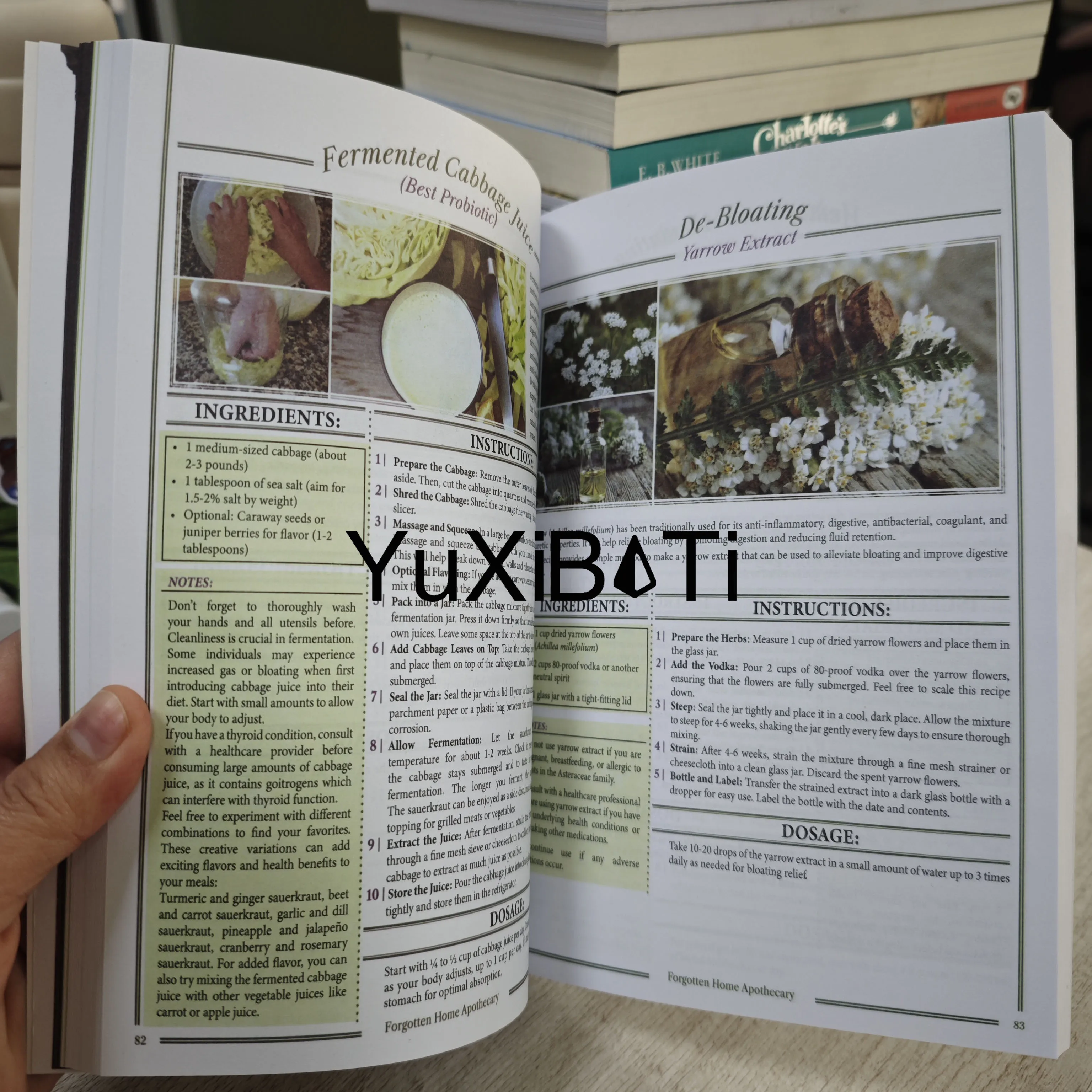 كتاب العلاجات العشبية للطبيب المنزلي 250 علاج قوي في أطراف أصابعك المنسية صيدلي منزلي للعافية اليومية