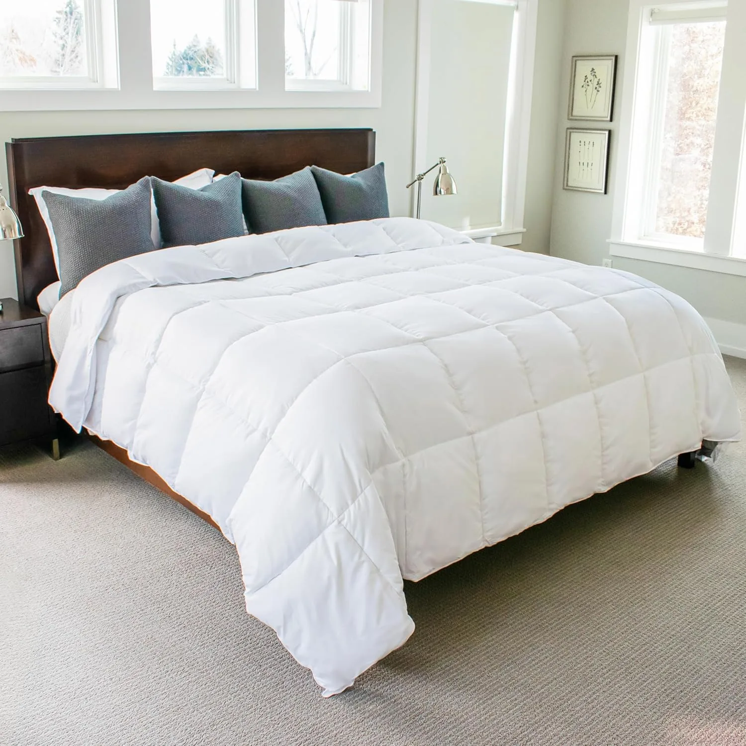 d King Comforter, White, All Season Down Alternative Comforter, Duvet Insert, Fluffy, Extra Large King Comforter,