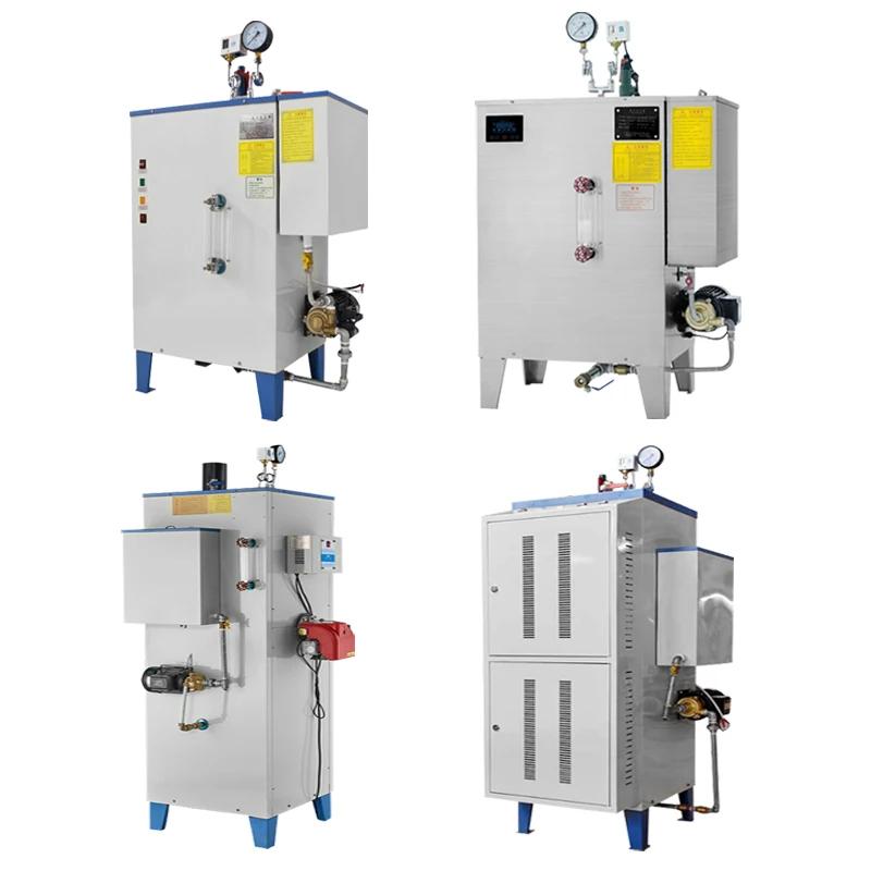 

Small Induction Steam Boiler Generator 100kg/h 300kg Hour Price Portable Mini Gas High Pressure Plant