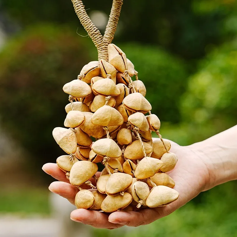 

Nutshell Rattle Sound Healing African Plant Fruit Hand Bell Meditation Outdoor Hand Rattle Dance Accompaniment Ethnic Instrument