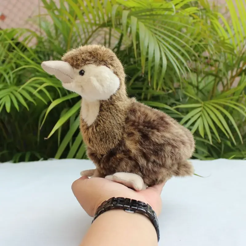 สมจริง Corncrake Plush ของเล่น High Fidelity Crake Bird Plushie รางน้ํา Peluche เหมือนจริงตุ๊กตาสัตว์จําลองตุ๊กตาของเล่น