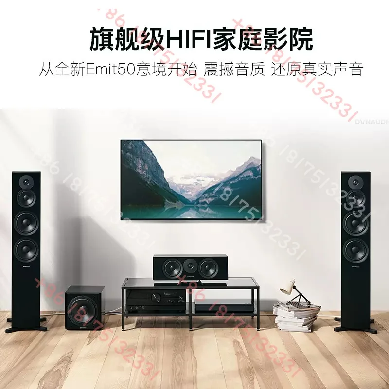 Dynaudio/Dynaudio New Concept Series New Emit 50 Speakers HiFi Floor Passive Fever Audio