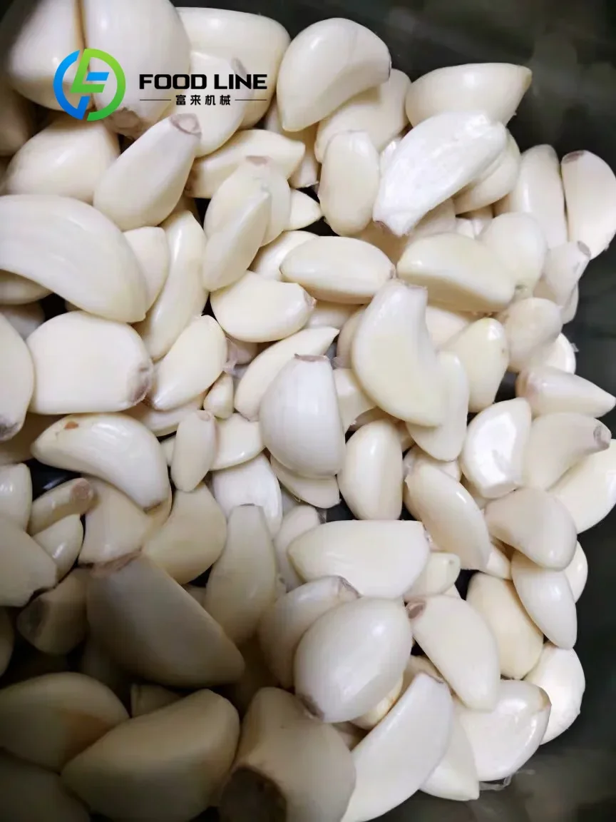 Chain Type Peeled Garlic Machine Stainless Steel 50kg h 300kg h Commercial Garlic Peeling Equipment Customize