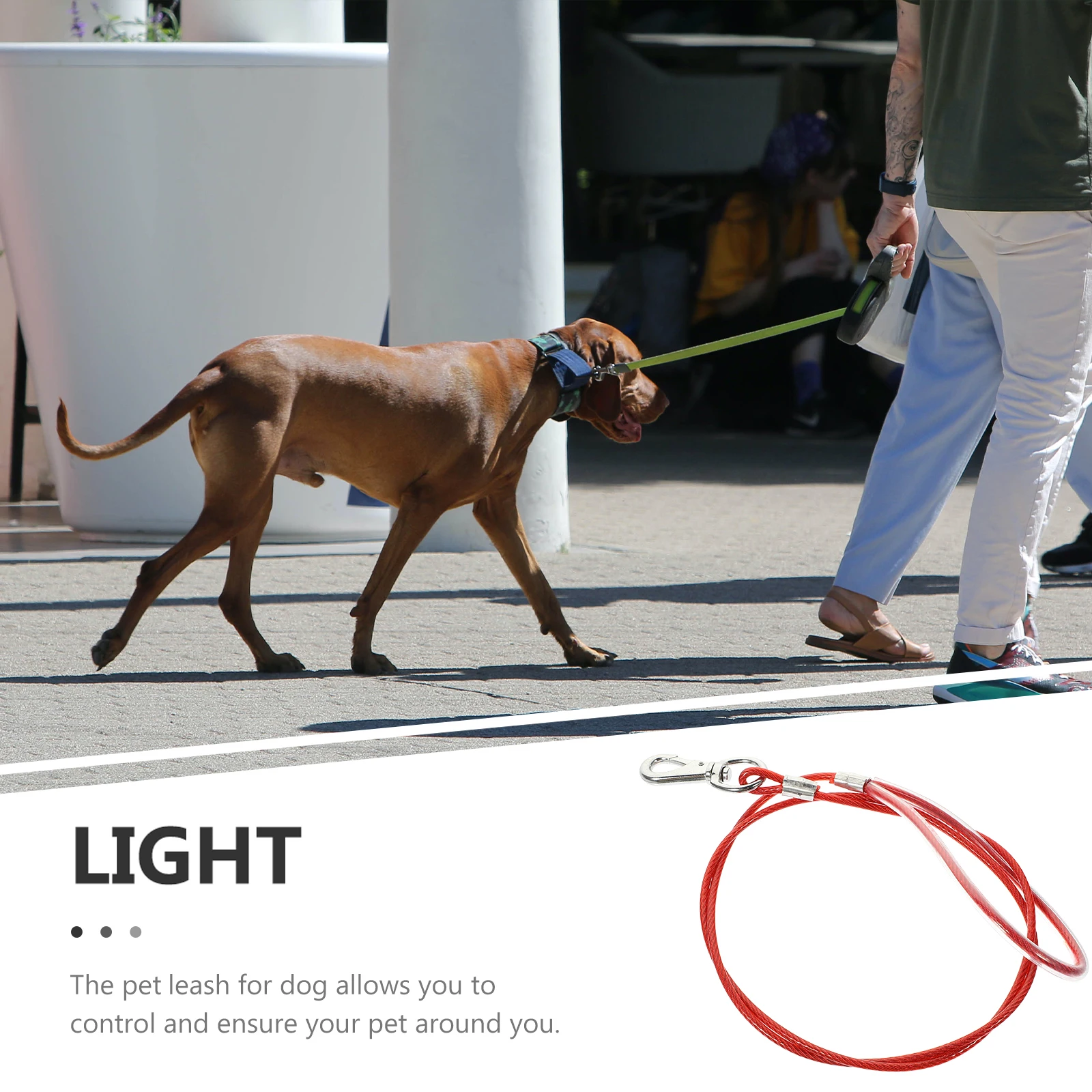 

Anti Bite Dog Leash Chew Proof Metal Wire Rope Wear Resistant for Puppy Safety Walking Comfortable Daily and Event Use