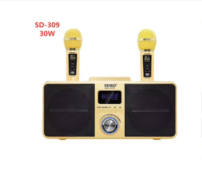 SDRD SD309 Home Theater KTV Wireless Bluetooth High Power High