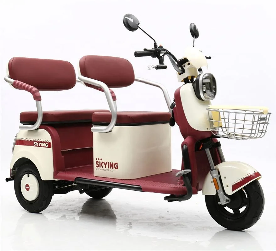 500W Electric Three Wheel Electric Motor Adult Two Seat Tricyclele