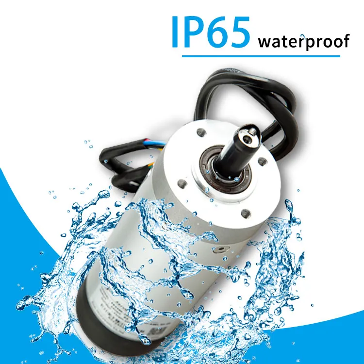 Factory Custom Servo Motor DC24V 100W 2000rpm Incremental Encoder Position Feedback for Speed Gate Turnstile Servo motor