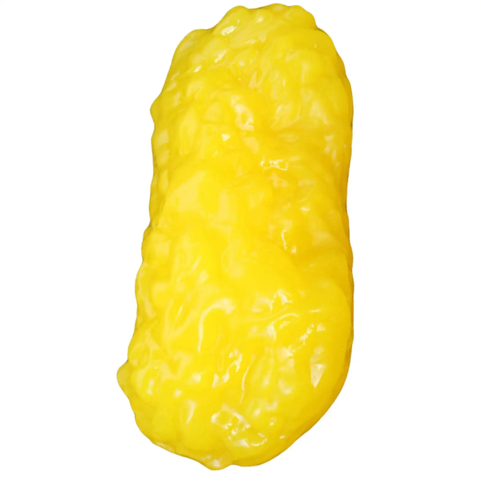 

Human Body Fat Imitation Creative Fat Model for School Hospital Students