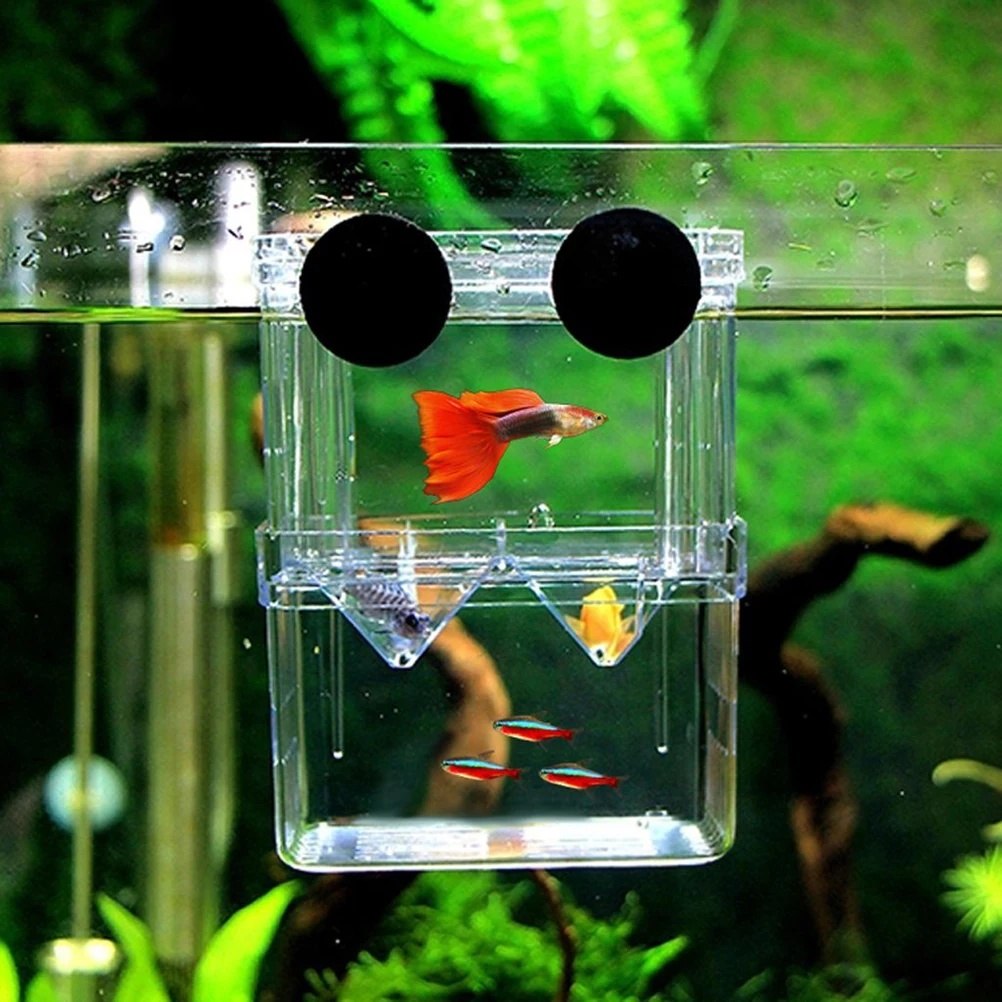 

Floating Breeding 13X10X7Cm Transparent Acrylic Aquarium Hatchery For Viviparous Survival Protection Isolation Tank Suction Cups