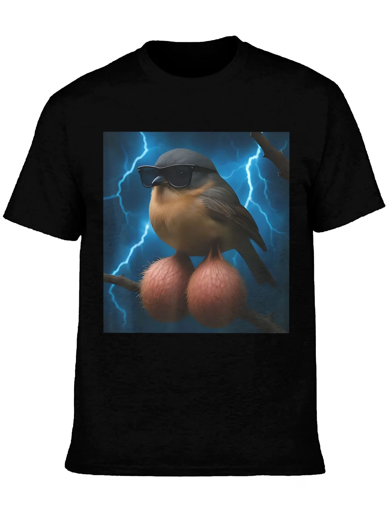 Men's funny meme Bird ironic humor weirdcor Sarcastic Hilarious T Shirt Summer Oversize Tee Women Loose Novelty Streetwear top