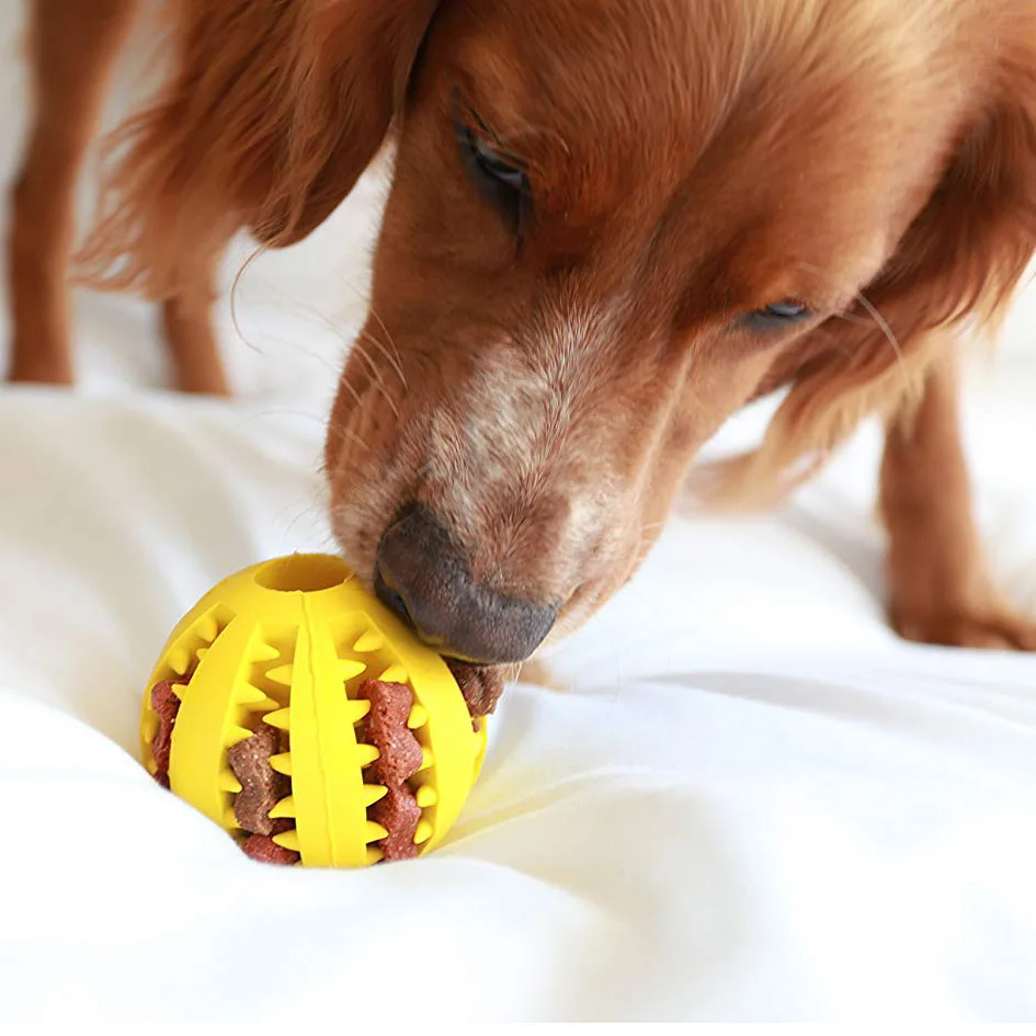 Dog Food Treat Feeder Funny Pet Interactive Rubber Ball Dogs Chew Toy Tooth Cleaning Ball Puppy Training Bite Resistant Toy Ball