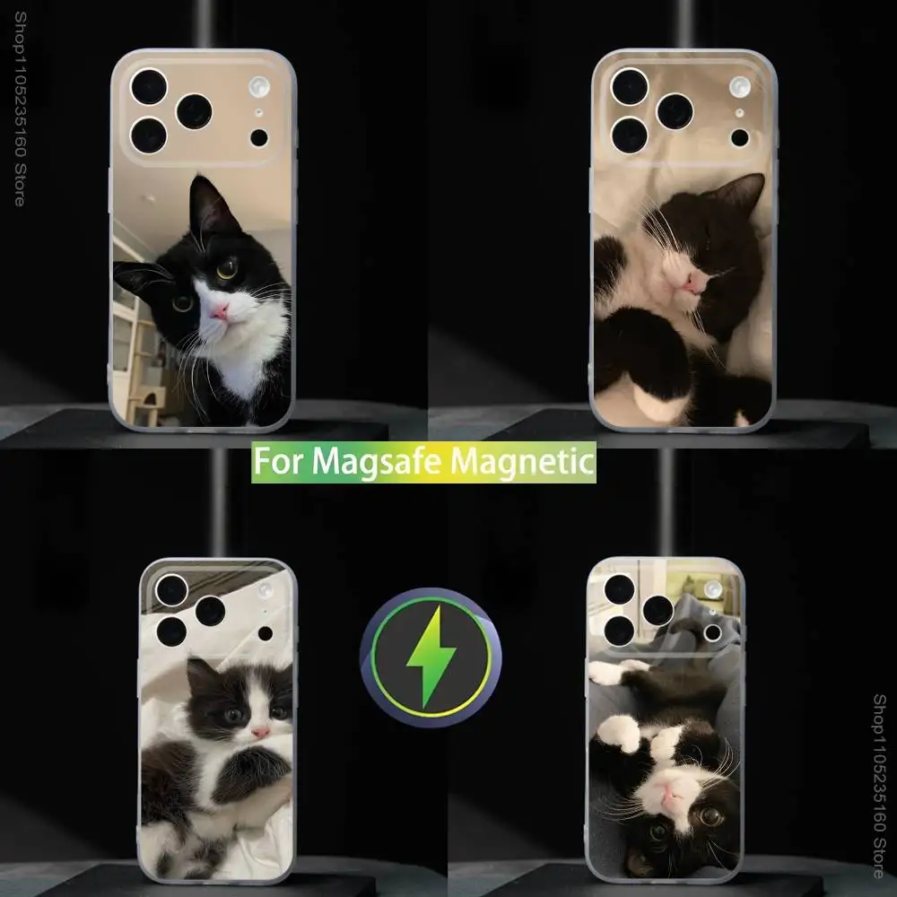 

Cute Black and White Cat Phone Case For iPhone 17,16,15,14,13,12,11,Pro,Max,Plus,Mini,SE4,E Magnetic For Magsafe Wireless