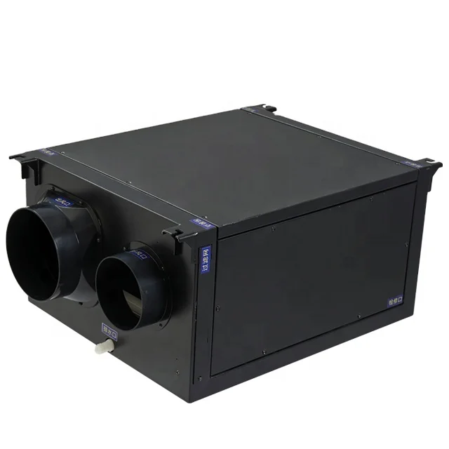Ceiling Install Fresh Air & Dehumidify Dual Function  Indoor Humidity Regulation For Home Commercial Space