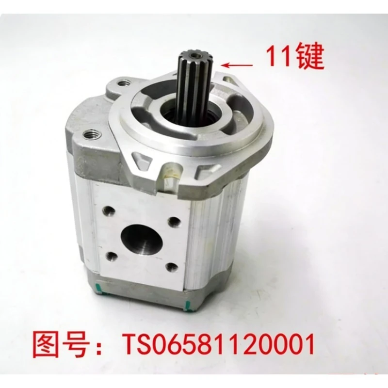 TS06581120001 Brand New Genuine Gear Pump Hydraulic Lift Pump for Foton Lovol Oubao Tractor Accessories