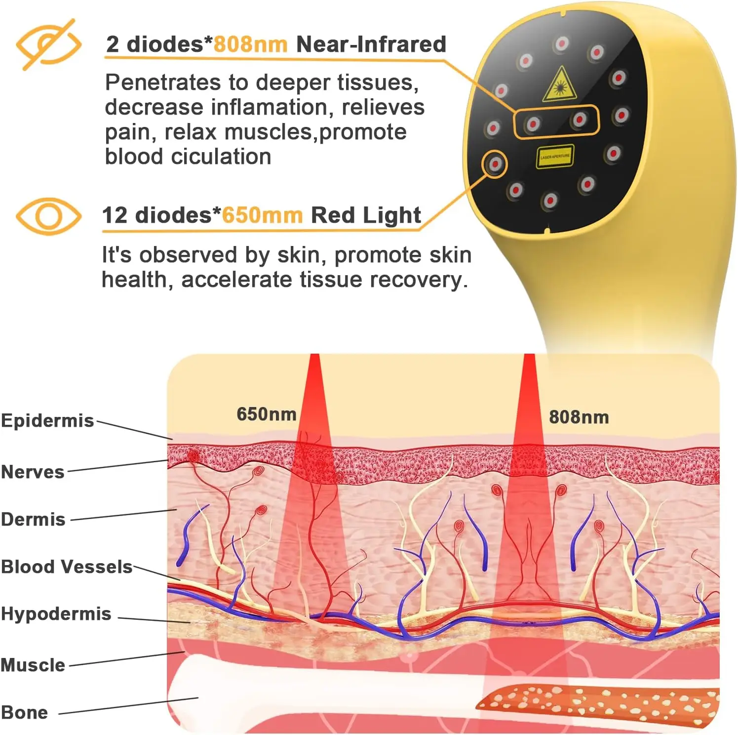 Dispositif de thérapie par lumière rouge pour animaux de compagnie, 2 diodes laser 808nm, thérapie au laser froid pour les troubles squelettiques musculpersistants et les soins des plaies cutanées