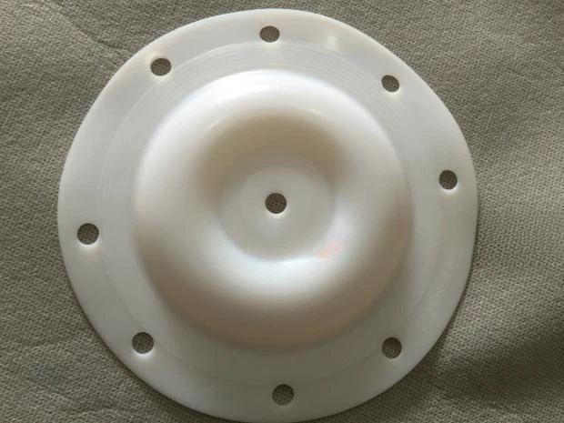 

E505TF Half Inch Pump Diaphragm Pump Accessories Diaphragm