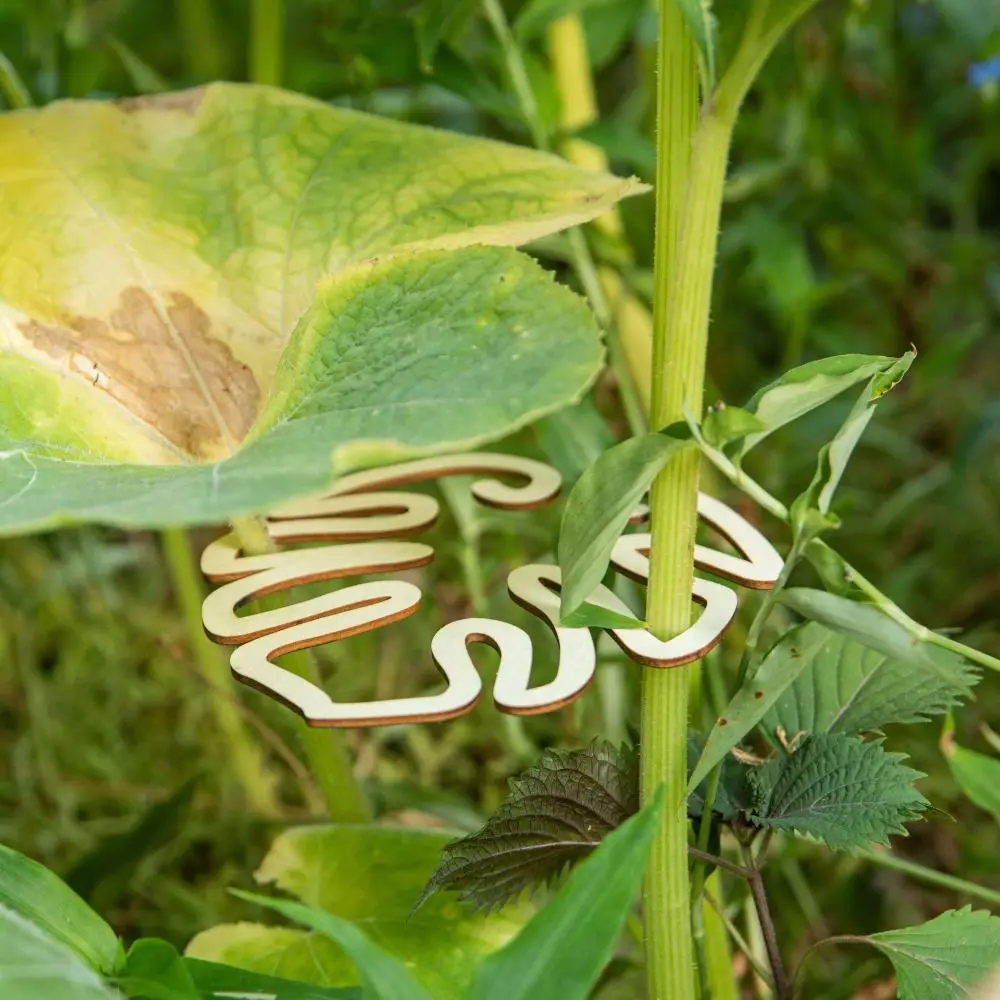 1/2PCS Reusable Turtle Shell Bamboo Clamp Support Branches Garden Tools Wooden Flower Stem Holder Stem Organizer