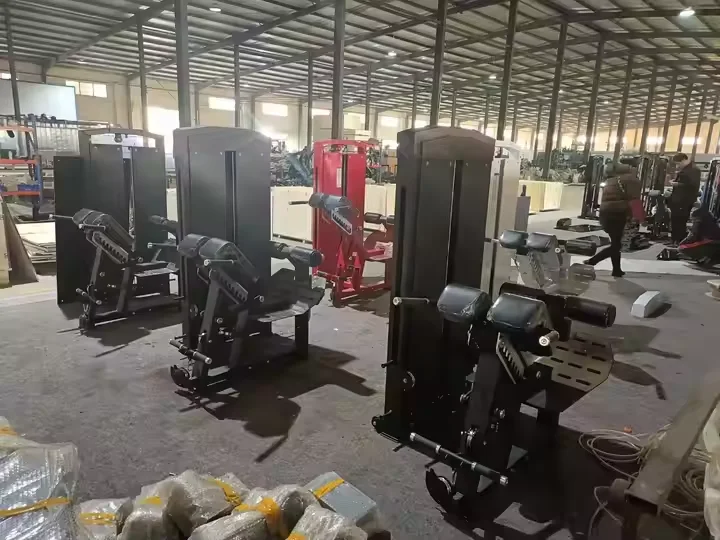 B002 Commercial Strength Fitness Equipment Selectorized Back Extension Selectorized Back Extension Machine for Gym