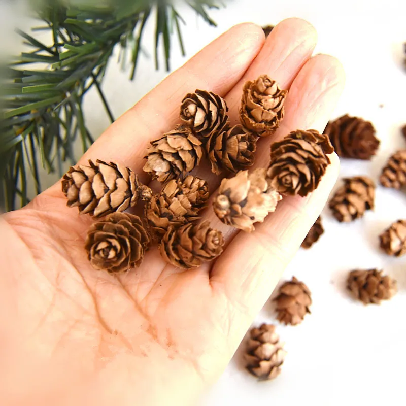 

Pinecone Natural Larch Christmas Hand-Decorated Accessories Bouquet Accessories Vase Decoration Bedroom Interior For Home