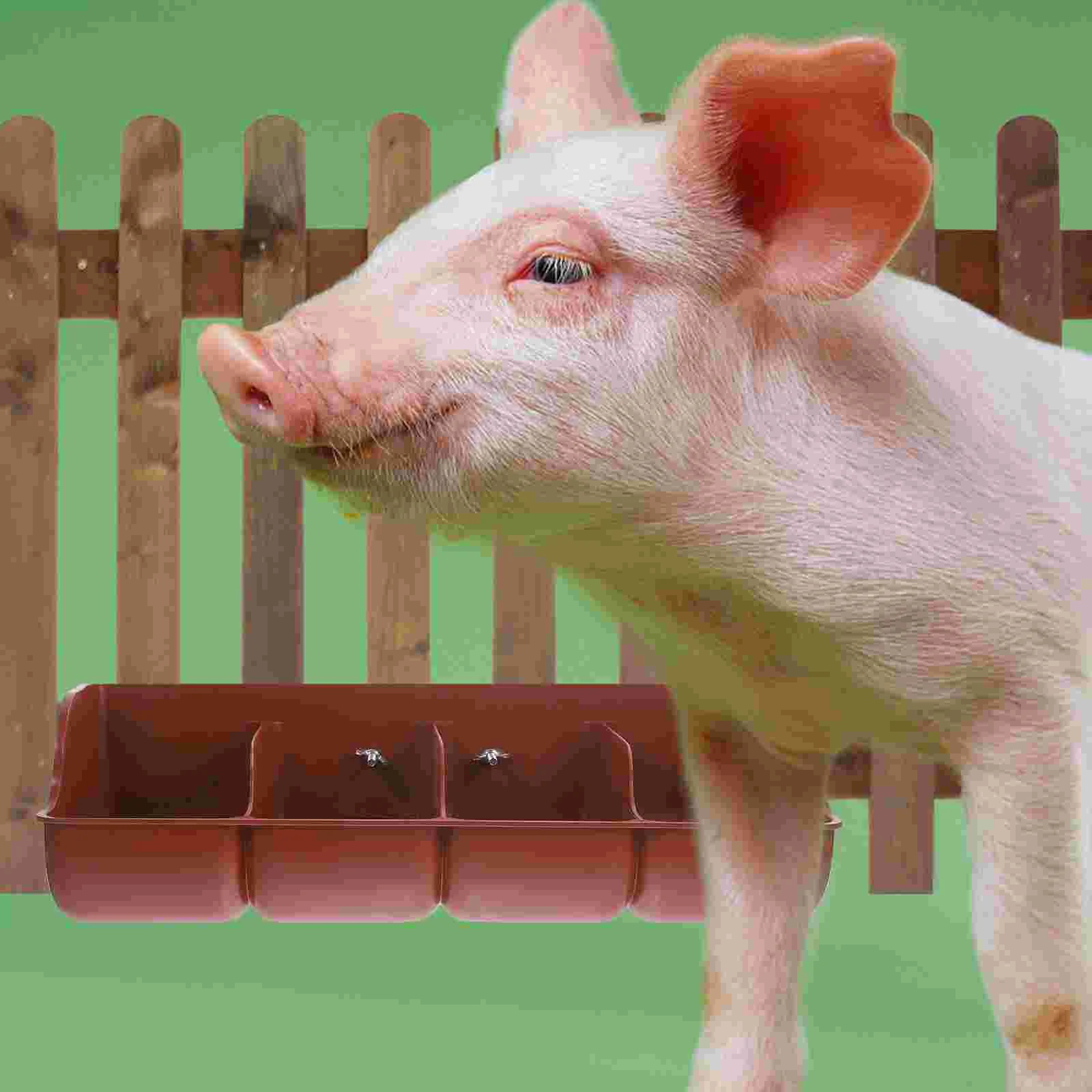 Pig Feeder Plastic Pig Manger for Farm Livestock Convenient and Durable Feeding Solution for Pigs and Other Livestock