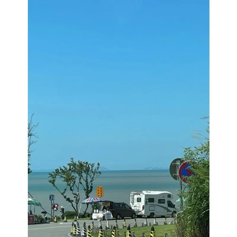 

Tiy For Seat Back Hanger Bag Hook Hidden with Car Hook Portable Multifunction Car Seat Headrest Hook Multi-Function