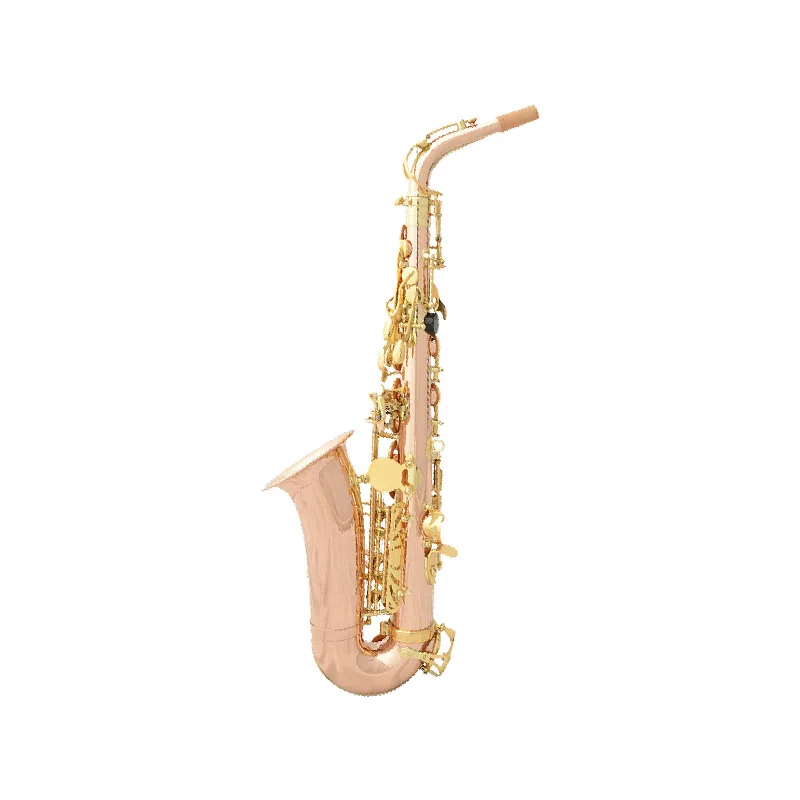 

Professional Phosphor Bronze Alto Eb Phosphor Bronze Double Ribbed Saxophone SAX