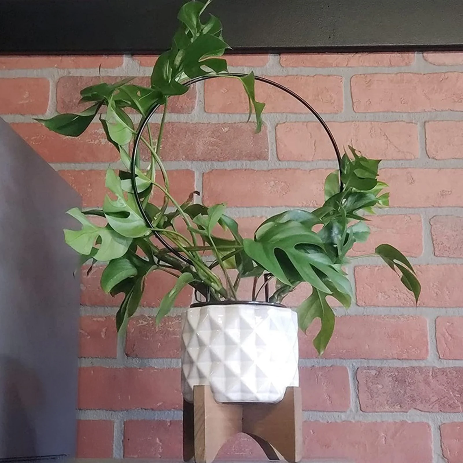 4/10pcs Garden Trellis Plant Iron Climbing Plant Support Plants Holder Plant Stand for Garden Outdoor Flower Support Frame