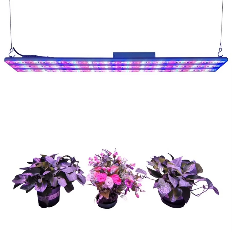 Led Plate Growth Light 0.5m 1m 1.5m Indoor Aquaculture Hydroponic Growth System Plant Factory Fast Delivery