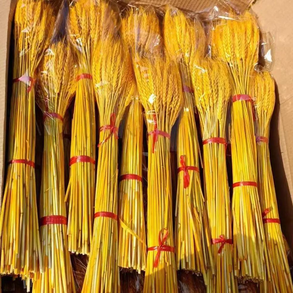 100 Pcs 50cm-60cm Artificial Wheat Ear With Stem Realistic Wedding Photo Props Indoor Home Office Garden Decor Faux Plant Kit